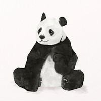 Panda watercolor illustration, animal design psd