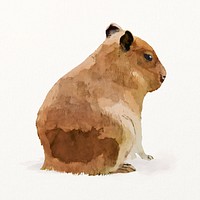 Rodent watercolor illustration, capybara design