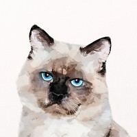 Cute cat watercolor illustration, Ragdoll psd