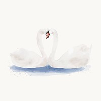 Mute swans watercolor illustration, animal design vector