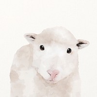 Lamb watercolor illustration, cute animal design