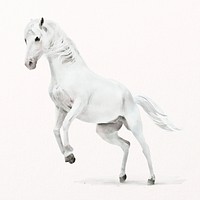 White horse watercolor illustration, wildlife design psd