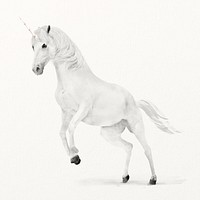 White unicorn illustration, animal watercolor design