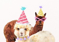 Birthday celebration watercolor illustration, alpacas design psd