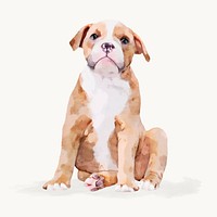 Watercolor Bulldog  illustration, animal design vector