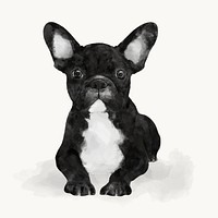 Watercolor French Bulldog illustration, animal design vector