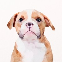 Bulldog watercolor illustration, pet design psd