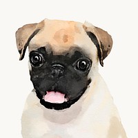 Watercolor Pug dog illustration, animal design vector