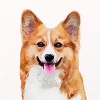 Welsh corgi dog watercolor illustration, pet design psd