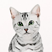 American shorthair cat watercolor illustration, pet design psd