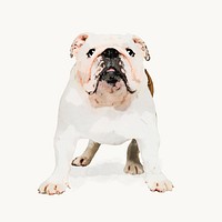 Watercolor  Bulldog illustration, animal design vector
