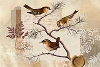 Vintage aesthetic ephemera collage, mixed media background featuring bird and wax seal vector