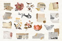 Vintage aesthetic ephemera collage, mixed media scrapbook artwork vector set