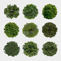 Tree top view stickers set, nature design psd