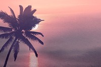 Aesthetic sunset background, palm tree shadow, nature design
