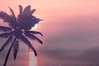 Aesthetic sunset background, palm tree shadow, nature design psd