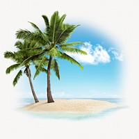 Palm tree on island isolated on white, beach design