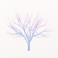 Leafless tree, aesthetic holographic isolated on white, nature design psd