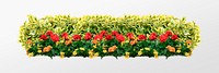 Flower bush collage element, wintercreeper, garden design psd