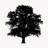 Silhouette tree isolated on white, nature design  vector