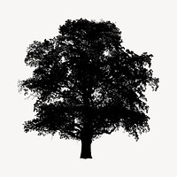 Silhouette tree isolated on white, nature design psd