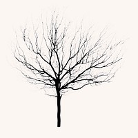 Dead tree isolated on white, nature design vector