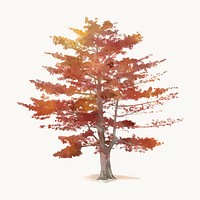 Autumn tree watercolor illustration isolated on white background, nature design vector