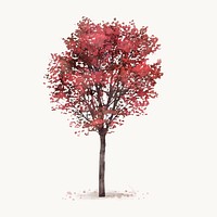 Tree watercolor illustration isolated on white background, autumn nature design vector