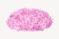 Pink bush collage element, garden design vector