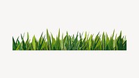 Grass border, nature collage element design vector