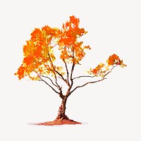 Autumn tree isolated on white, nature design vector