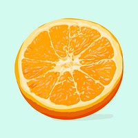 Orange clipart, fruit illustration design vector