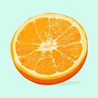 Orange fruit clipart, realistic illustration design