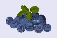 Blueberry clipart, fruit illustration design vector