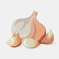 Garlic clipart, vegetable illustration design vector