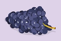 Grapes clipart, fruit illustration design vector