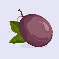 Passion fruit clipart, realistic illustration design vector