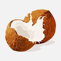 Coconut splash clipart, realistic illustration design