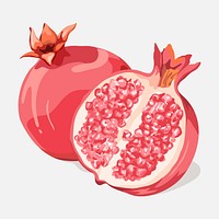 Pomegranate clipart, fruit illustration design vector