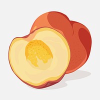 Peach fruit clipart, realistic illustration design
