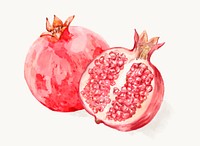 Watercolor pomegranate clipart, fruit illustration vector art