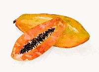 Watercolor papaya clipart, fruit illustration vector art