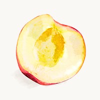 Watercolor peach clipart, fruit illustration vector art