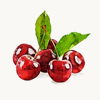 Red cherry sticker, watercolor fruit vector
