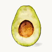 Watercolor avocado clipart, fruit illustration vector art