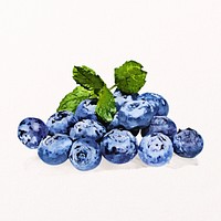 Watercolor blueberry sticker, antioxidant fruit psd