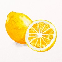 Watercolor lemon clipart, fruit illustration psd