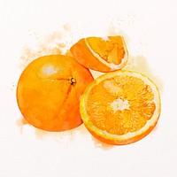 Watercolor mandarin oranges clipart, fruit illustration psd