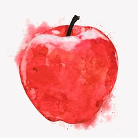 Watercolor red apple clipart, fruit illustration vector art