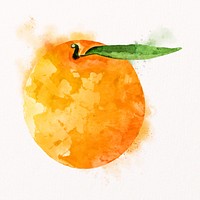 Watercolor mandarin orange clipart, fruit illustration psd